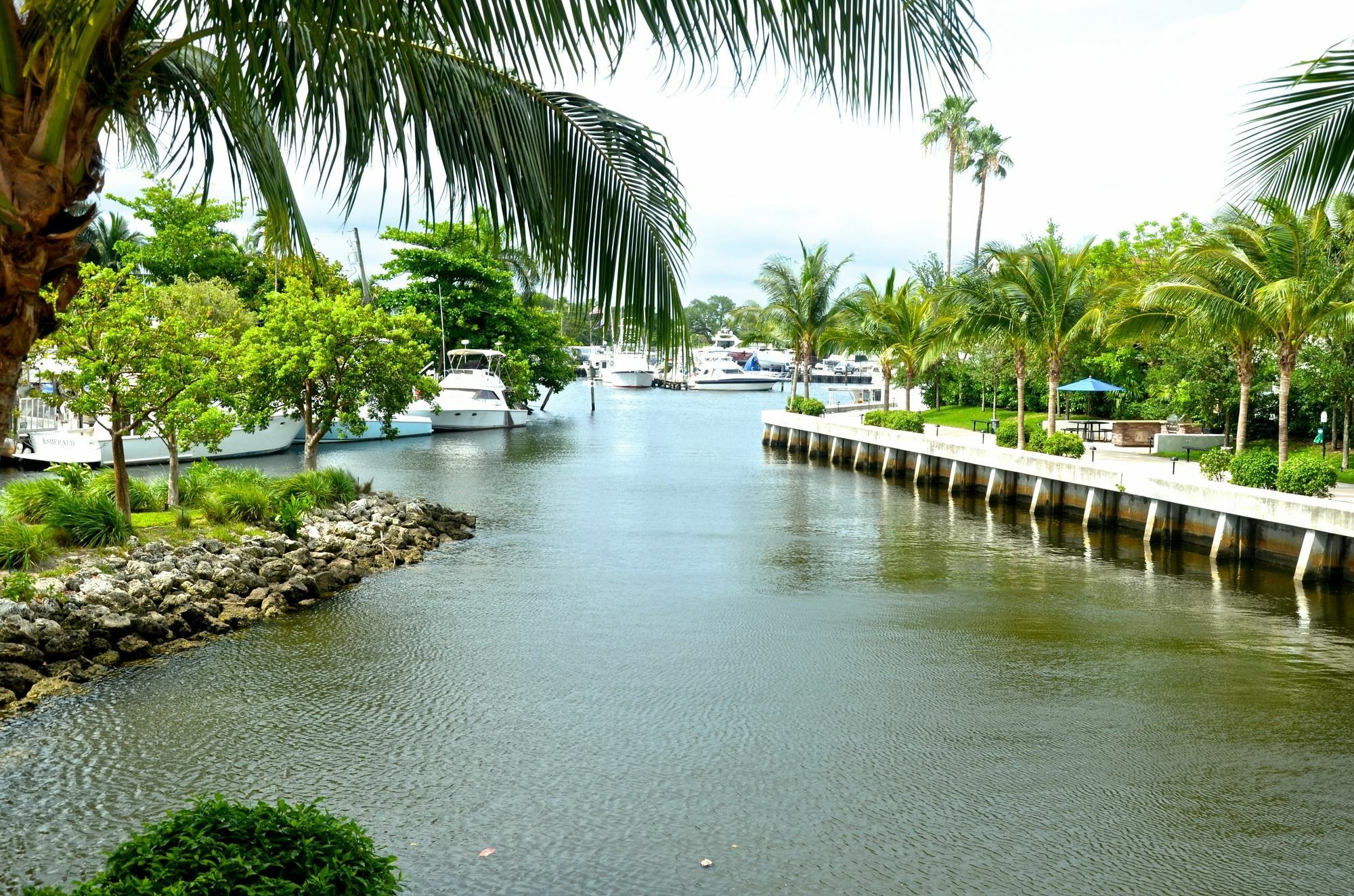 Riviera Luxury Living At River Oaks Marina And Tower Miami Exteriör bild